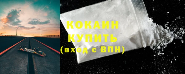 spice Бородино