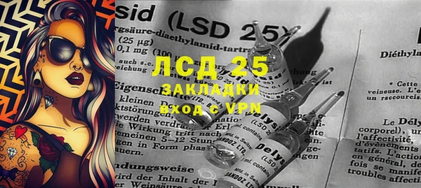 spice Бородино