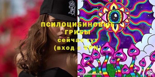 трава Бронницы