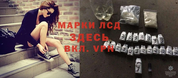 spice Бородино