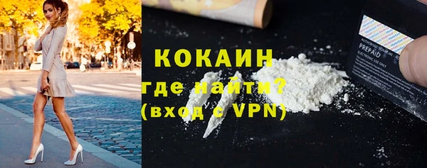spice Бородино