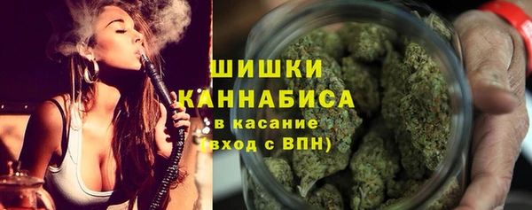 spice Бородино