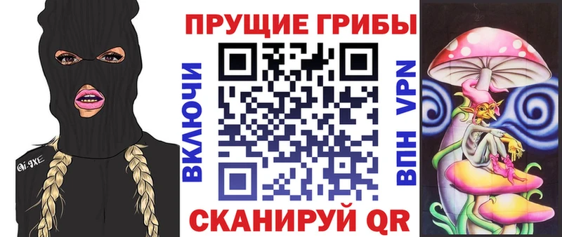 Галлюциногенные грибы Magic Shrooms  Купить  Унеча 