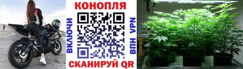 Купить закладки  Унеча  Марихуана THC 21% 